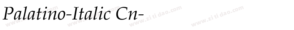 Palatino-Italic Cn字体转换